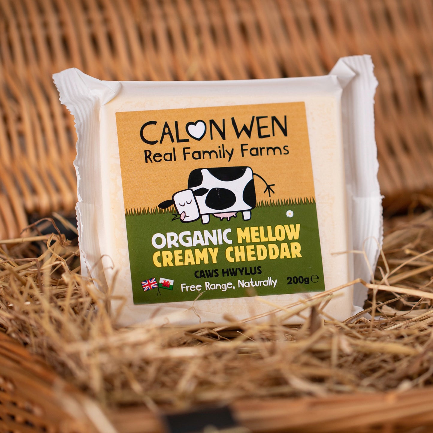 Mellow Creamy Chedder